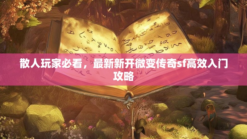 散人玩家必看，最新新开微变传奇sf高效入门攻略