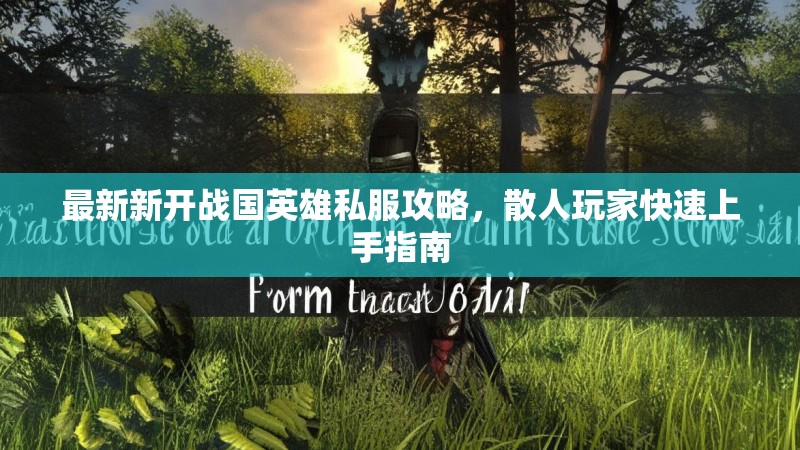 最新新开战国英雄私服攻略，散人玩家快速上手指南