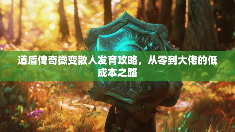道盾传奇微变散人发育攻略，从零到大佬的低成本之路
