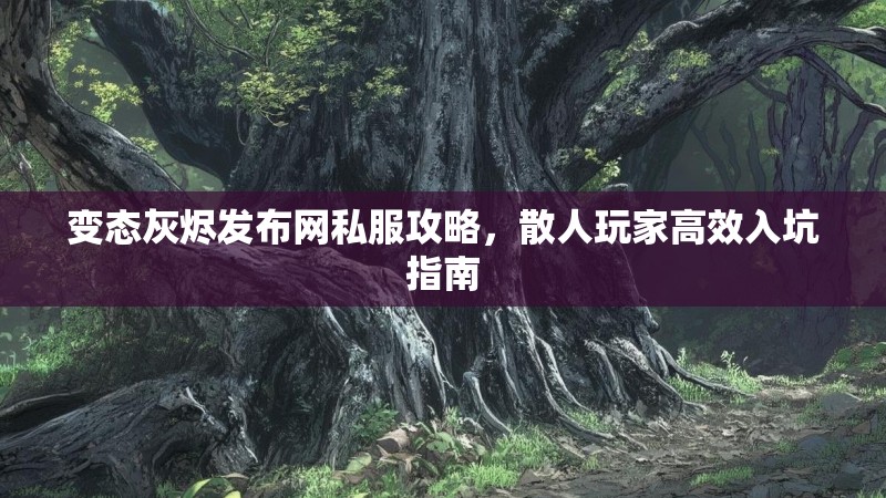 变态灰烬发布网私服攻略，散人玩家高效入坑指南