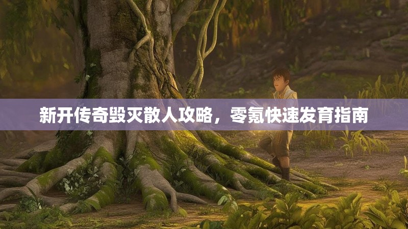 新开传奇毁灭散人攻略，零氪快速发育指南