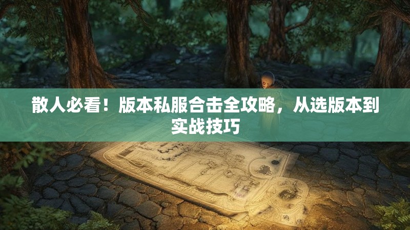 散人必看！版本私服合击全攻略，从选版本到实战技巧