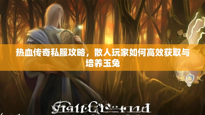 热血传奇私服攻略，散人玩家如何高效获取与培养玉兔