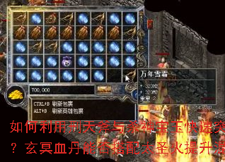 如何利用刑天斧与杀神宝玉快速突破帝君凤羽副本？玄冥血丹能否搭配太圣火提升混沌魔爪伤害？