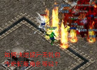 如何快速提升无礼包传奇新服角色等级？