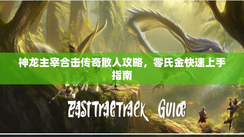神龙主宰合击传奇散人攻略，零氏金快速上手指南