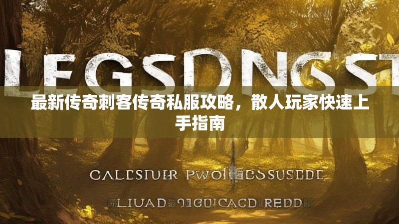 最新传奇刺客传奇私服攻略，散人玩家快速上手指南