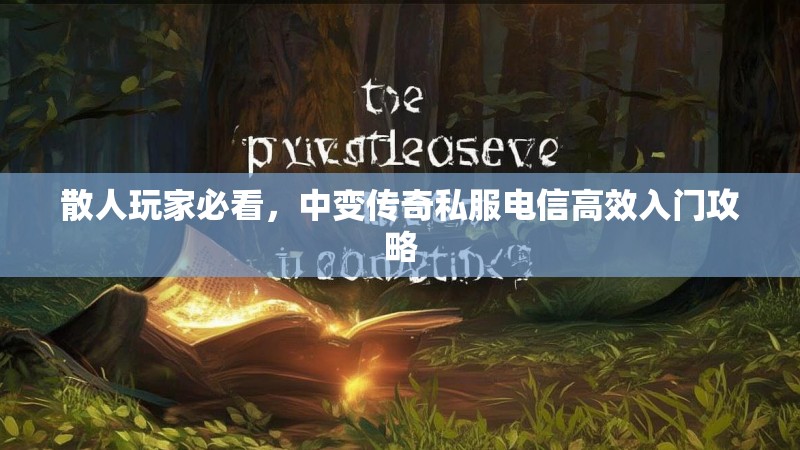 散人玩家必看，中变传奇私服电信高效入门攻略