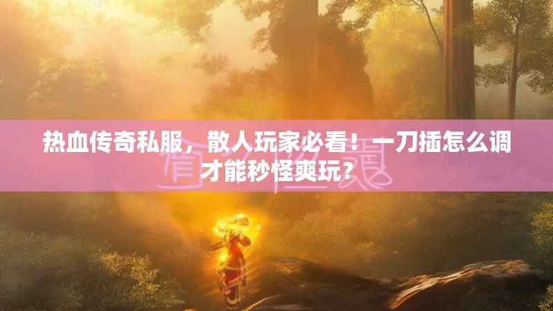 热血传奇私服，散人玩家必看！一刀插怎么调才能秒怪爽玩？