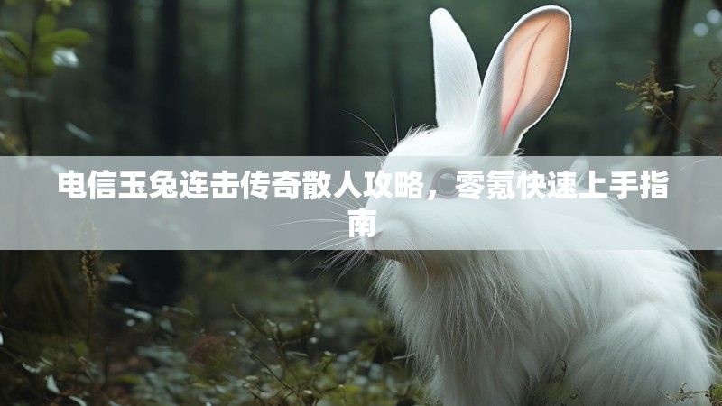 电信玉兔连击传奇散人攻略，零氪快速上手指南