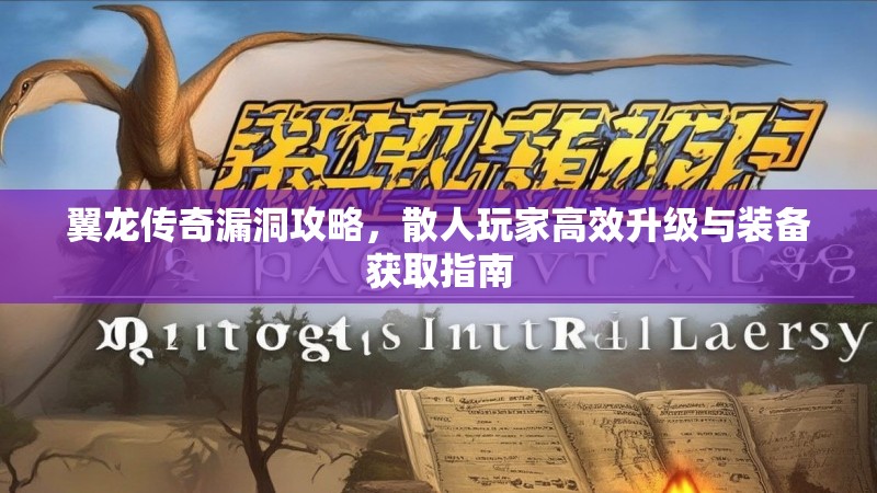 翼龙传奇漏洞攻略，散人玩家高效升级与装备获取指南