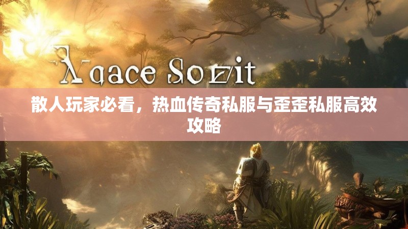 散人玩家必看，热血传奇私服与歪歪私服高效攻略