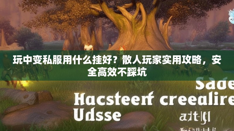 玩中变私服用什么挂好？散人玩家实用攻略，安全高效不踩坑