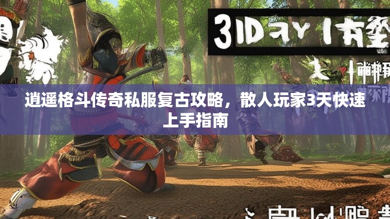 逍遥格斗传奇私服复古攻略，散人玩家3天快速上手指南