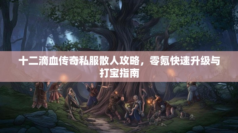 十二滴血传奇私服散人攻略，零氪快速升级与打宝指南