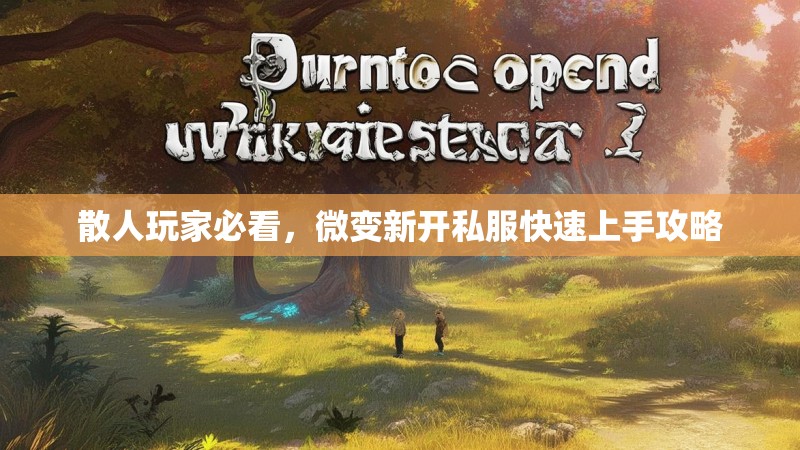散人玩家必看，微变新开私服快速上手攻略