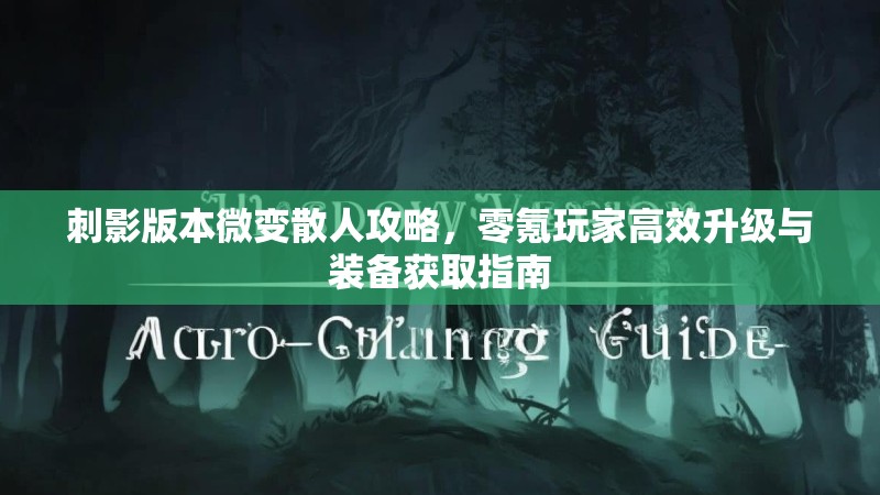 刺影版本微变散人攻略，零氪玩家高效升级与装备获取指南