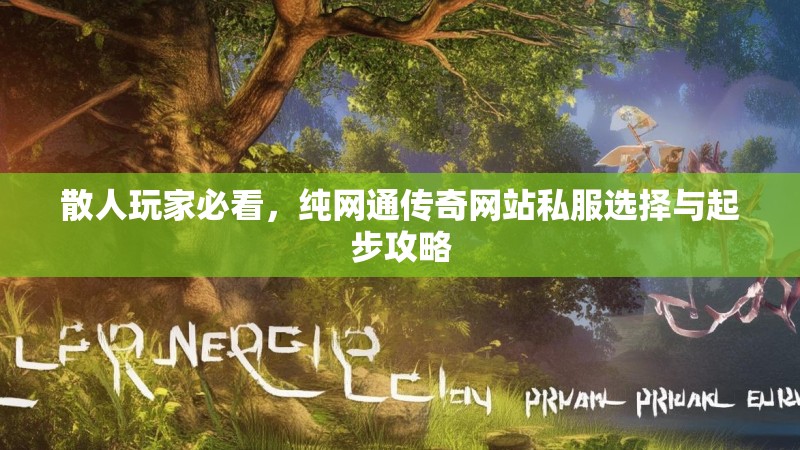 散人玩家必看，纯网通传奇网站私服选择与起步攻略