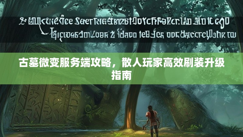古墓微变服务端攻略，散人玩家高效刷装升级指南