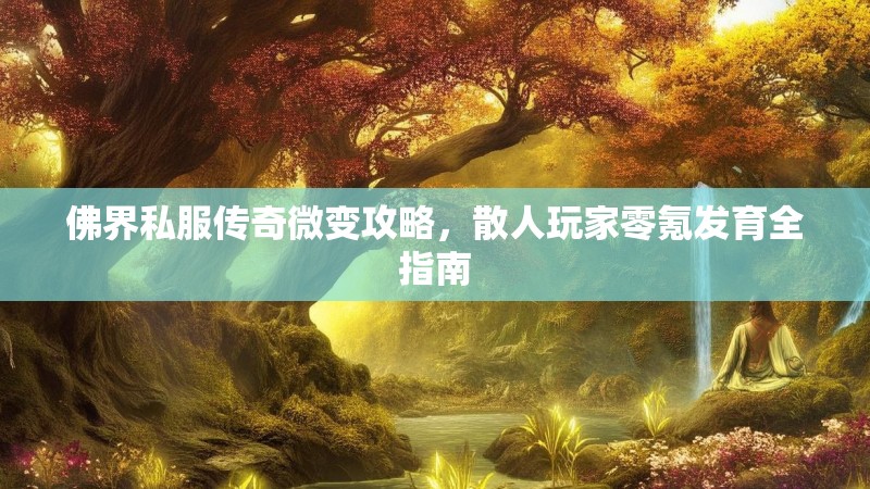 佛界私服传奇微变攻略，散人玩家零氪发育全指南