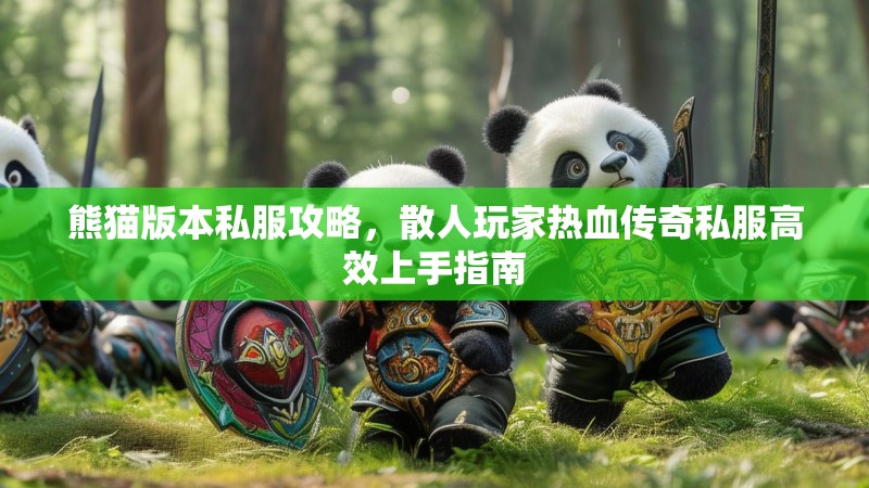 熊猫版本私服攻略，散人玩家热血传奇私服高效上手指南