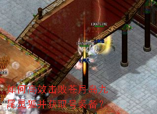 如何高效击败苍月岛九尾灵狐并获取号装备？