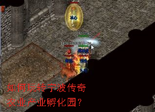 如何玩转宁波传奇农业产业孵化园？