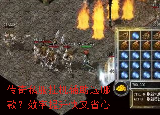 传奇私服挂机辅助选哪款？效率提升快又省心