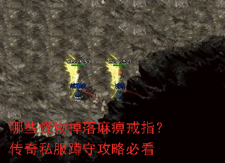 哪些怪物掉落麻痹戒指？传奇私服蹲守攻略必看