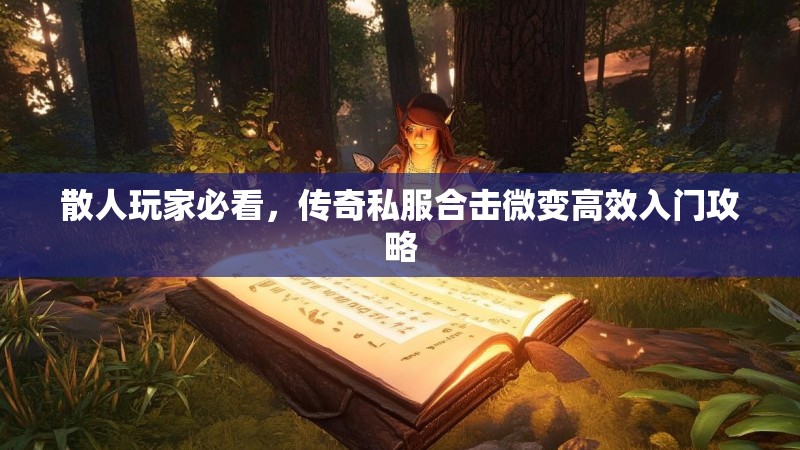 散人玩家必看，传奇私服合击微变高效入门攻略