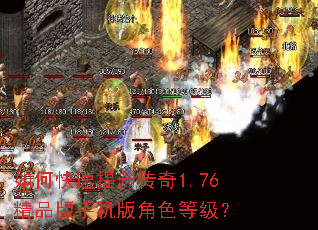 如何快速提升传奇1.76精品版手机版角色等级？