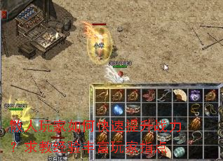 散人玩家如何快速提升战力？求教经验丰富玩家指点