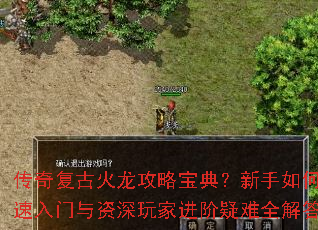 传奇复古火龙攻略宝典？新手如何快速入门与资深玩家进阶疑难全解答