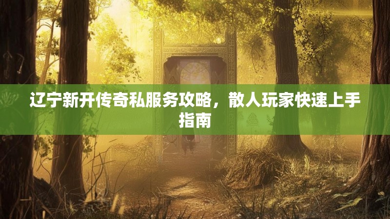 辽宁新开传奇私服务攻略，散人玩家快速上手指南
