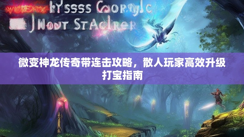 微变神龙传奇带连击攻略，散人玩家高效升级打宝指南