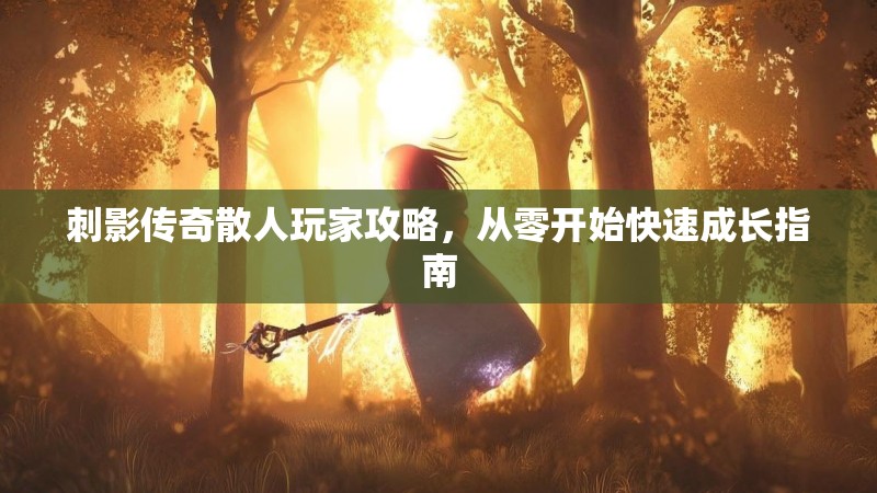 刺影传奇散人玩家攻略，从零开始快速成长指南