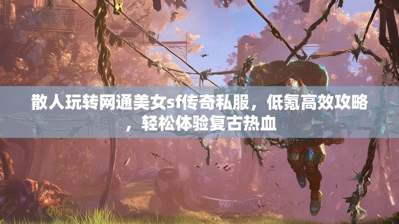 散人玩转网通美女sf传奇私服，低氪高效攻略，轻松体验复古热血