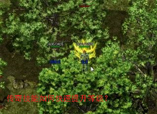 传奇技能如何快速提升等级？