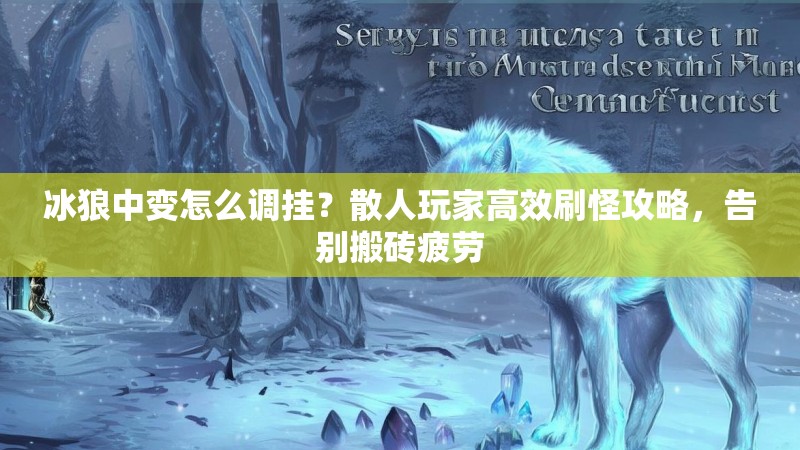 冰狼中变怎么调挂？散人玩家高效刷怪攻略，告别搬砖疲劳