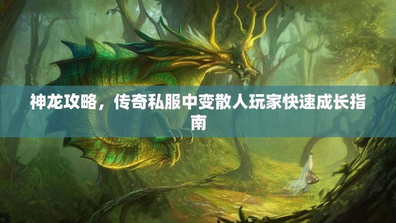 神龙攻略，传奇私服中变散人玩家快速成长指南