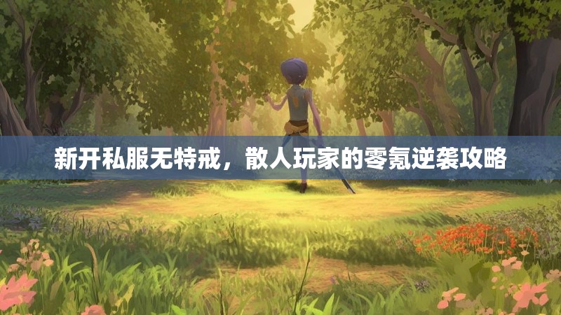 新开私服无特戒，散人玩家的零氪逆袭攻略