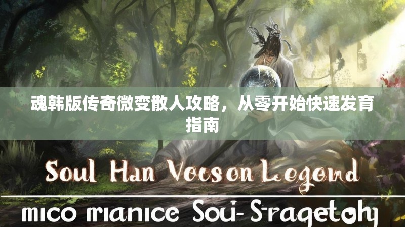 魂韩版传奇微变散人攻略，从零开始快速发育指南