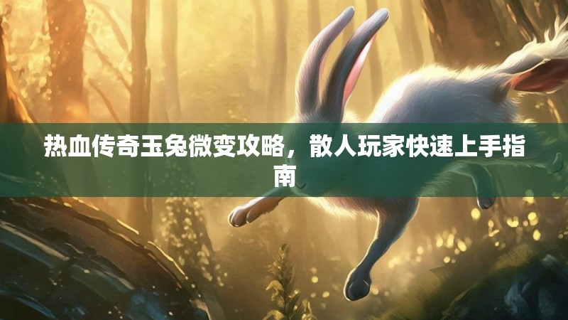 热血传奇玉兔微变攻略，散人玩家快速上手指南