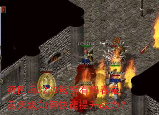 第四岛3233鸳鸯有耦春蚕苦天级如何快速提升战力？