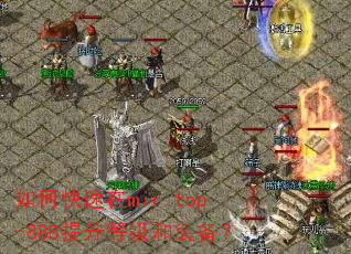 如何快速在mir.top-888提升等级和装备？