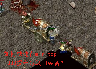 如何快速在mir.top-888提升等级和装备？