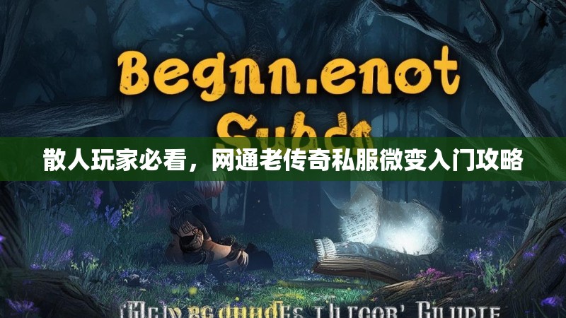 散人玩家必看，网通老传奇私服微变入门攻略