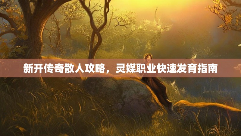 新开传奇散人攻略，灵媒职业快速发育指南