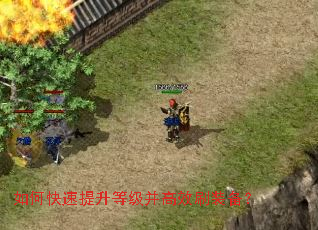 如何快速提升等级并高效刷装备？