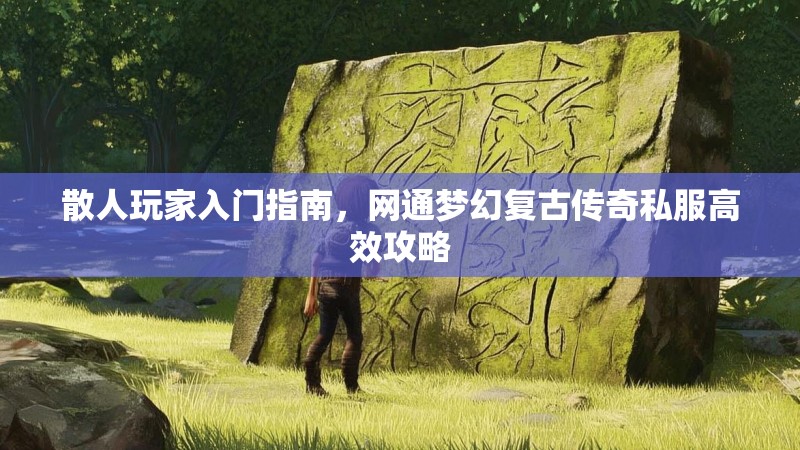 散人玩家入门指南，网通梦幻复古传奇私服高效攻略